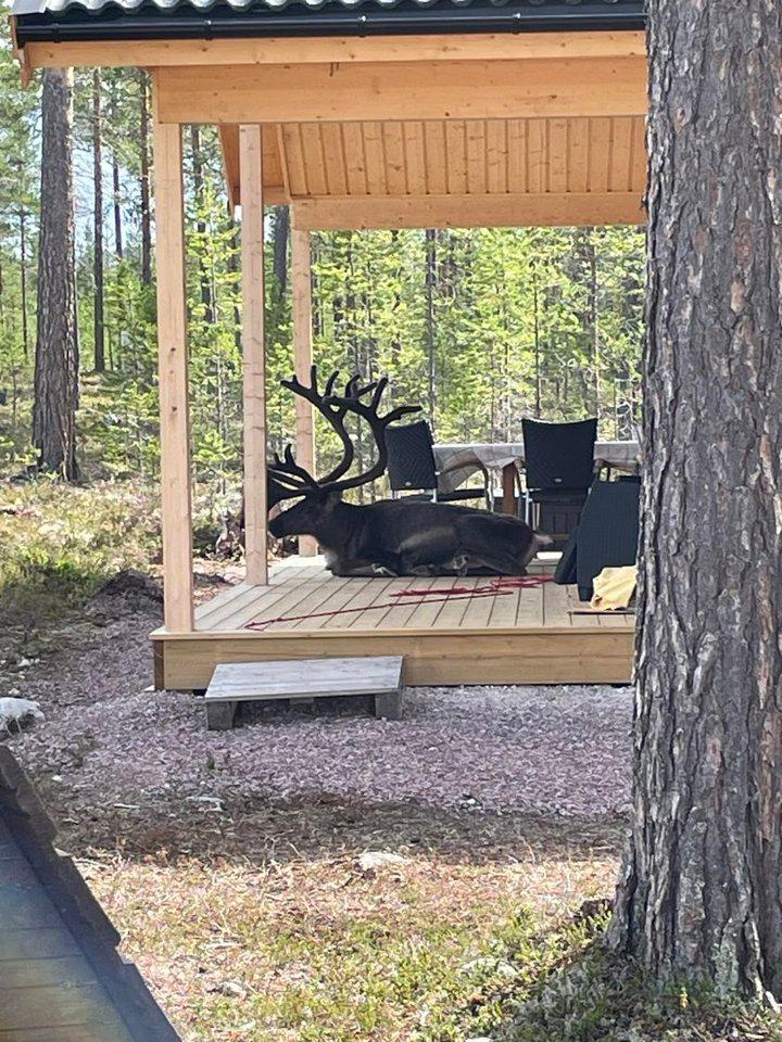 Photo from news post