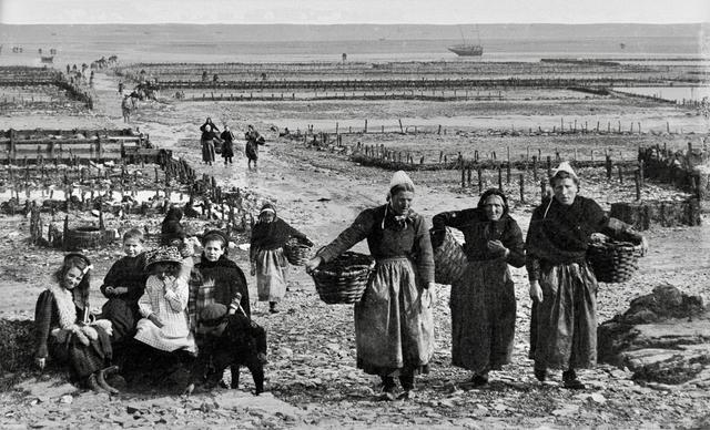 Oyster hunting and sorting in 19th-century France was an essential maritime and culinary practice that reflected both the country’s deep gastronomic traditions and the evolving dynamics of coastal economies.