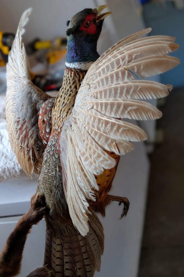 Photo from news post