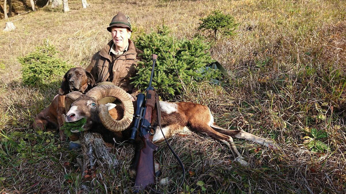 Jagd im Raum Spittal an der Drau: Tierarten, Rahmenbedingungen, Besonderheiten, Zeiträume, Geografie, Bevölkerungsdaten, Organisationen, kulturelle Aspekte, interessante Details 