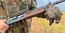 Remington 1100 Sporting 12: A Classic Wing Shooter’s Choice

• Introduction: A Timeless American Semi-Auto
• Design & Modifications
• Operating System & Reliability
• Technical Specifications
• Ballistics & Effective Range
• Hunting Applications
• Price & Market Availability
• Pros & Cons from Real Users
• Why Shooters Still Choose the 1100 Sporting
• Final Verdict

🎯 Introduction: A Timeless American Semi-Auto

Few shotguns have earned the enduring respect of hunters and clay shooters like the Remington 1100 Sporting 12. Introduced in the 1960s and refined over decades, this gas-operated semi-automatic remains a favorite for its smooth recoil, classic styling, and field-tested reliability. Whether you’re breaking clays or flushing pheasants, the 1100 Sporting 12 delivers consistent performance with a touch of nostalgia.

🛠️ Design & Modifications Remington 1100 Sporting 12

The Sporting 12 is part of Remington’s Competition Series, tailored for sporting clays and light field use. Key design features include:

• Polished blued steel receiver with engraved “Sporting 12” script
• 28-inch light target contour barrel with vent rib and twin bead sights
• Semi-fancy American walnut stock with high-gloss finish and cut checkering
• Gold-plated trigger for visual contrast and smooth pull
• Sporting-style recoil pad for comfort during extended shooting sessions
• Four extended Rem Choke tubes: Skeet, Improved Cylinder, Light Modified, and Modified

While the stock lacks adjustability, aftermarket shims and recoil pads are available. Some shooters opt for custom-length stocks to improve fit.

⚙️ Operating System & Reliability

The 1100 Sporting 12 uses Remington’s gas-operated action, which:

• Reduces felt recoil significantly compared to inertia-driven systems
• Cycles smoothly with target and light field loads
• Requires regular cleaning to maintain reliability

The system is simple to maintain, with easily accessible gas ports and a straightforward valve assembly. While not as forgiving as newer designs like the VersaMax, the 1100’s action is time-tested and dependable when properly maintained.

📐 Technical Specifications Remington 1100 Sporting 12

• Gauge: 12 GA
• Chamber: 2¾” only (not compatible with 3” magnum shells)
• Barrel Length: 28”
• Overall Length: 47¾”
• Weight: Approx. 8 lbs
• Magazine Capacity: 4+1
• Length of Pull: 14”
• Drop at Comb: 1½”
• Drop at Heel: 2½”
• Finish: High polish blued steel with gloss walnut stock
• Sights: Twin bead (white front, silver mid-rib)

🚀 Ballistics & Effective Range

The Sporting 12 is optimized for target loads and light field loads. With proper choke selection:

• Effective range for upland birds: 30–45 yards
• Sporting clays: consistent breaks at 40+ yards
• Not recommended for heavy waterfowl loads or steel shot (due to chamber and barrel limitations)

Patterning is tight and consistent with lead shot. Users report excellent results with 1⅛ oz loads of #7½ or #8 shot.

🦃 Hunting Applications Remington 1100 Sporting 12

While designed for sporting clays, the 1100 Sporting 12 excels in:

• Upland bird hunting: pheasant, grouse, quail
• Dove and woodcock
• Light duck loads (non-toxic shot not recommended in this model)
• Small game: rabbits and squirrels with appropriate loads

Its smooth swing and moderate weight make it ideal for walked-up hunts and fast-moving targets.

💰 Price & Market Availability

Pricing varies by condition and configuration:

• New MSRP: ~$1,200–$1,300 USD
• Used models: $675–$900 USD depending on condition
• Premier and Nickel variants: $1,400+
• Aftermarket barrels and stocks: $150–$400

Availability may be limited due to production cycles. Check with Remington’s official site or major retailers like Sportsman’s Warehouse and Primary Arms.

✅ Pros & ❌ Cons from Real Users

Pros:

• Soft recoil and smooth cycling
• Beautiful wood and finish
• Reliable with target loads
• Easy to clean and maintain
• Excellent balance and swing for clays and upland birds
• Made in the USA

Cons:

• Only accepts 2¾” shells
• Not ideal for steel shot or magnum loads
• Stock lacks adjustability
• Trigger may feel heavy or “creepy” to some users
• Requires regular cleaning to maintain performance
• Slightly heavy for smaller shooters

🔎 Why Shooters Still Choose the 1100 Sporting

Despite newer models on the market, the 1100 Sporting 12 remains a go-to choice for shooters who value:

• Classic American craftsmanship
• Smooth recoil and handling
• Timeless aesthetics
• Proven reliability over decades

It’s a shotgun that feels right in the hands, points naturally, and performs consistently. For many, it’s not just a tool—it’s a tradition.

🏁 Final Verdict

The Remington 1100 Sporting 12 is more than a shotgun—it’s a legacy. With its elegant design, soft shooting characteristics, and dependable performance, it continues to earn its place among serious wing shooters and clay competitors. If you’re looking for a semi-auto that blends tradition with functionality, the 1100 Sporting 12 is a classic worth owning.

🔍 Frequently Asked Questions About Remington 1100 Sporting 12

1. Can the Remington 1100 Sporting 12 shoot 3” shells?

No. The Sporting 12 is chambered for 2¾” shells only. Attempting to use 3” magnum loads can damage the action and compromise safety.

2. Is the Remington 1100 Sporting 12 suitable for steel shot?

Not recommended. The barrel and gas system were designed for lead target loads. Using steel shot may cause excessive wear or damage unless specifically marked as steel-compatible.

3. Does the 1100 Sporting 12 have a self-adjusting gas system?

No. Unlike newer models like the VersaMax, the 1100 uses a fixed gas port system, which means it performs best with consistent target loads. Light or heavy loads may require tuning or may not cycle reliably.

4. How often should I replace the O-ring?

The gas system O-ring should be inspected regularly and replaced every 1,000–2,000 rounds, or sooner if signs