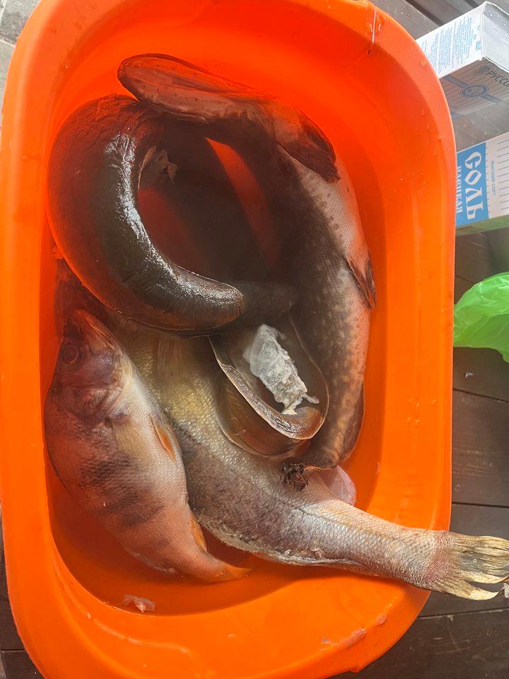Photo from news post