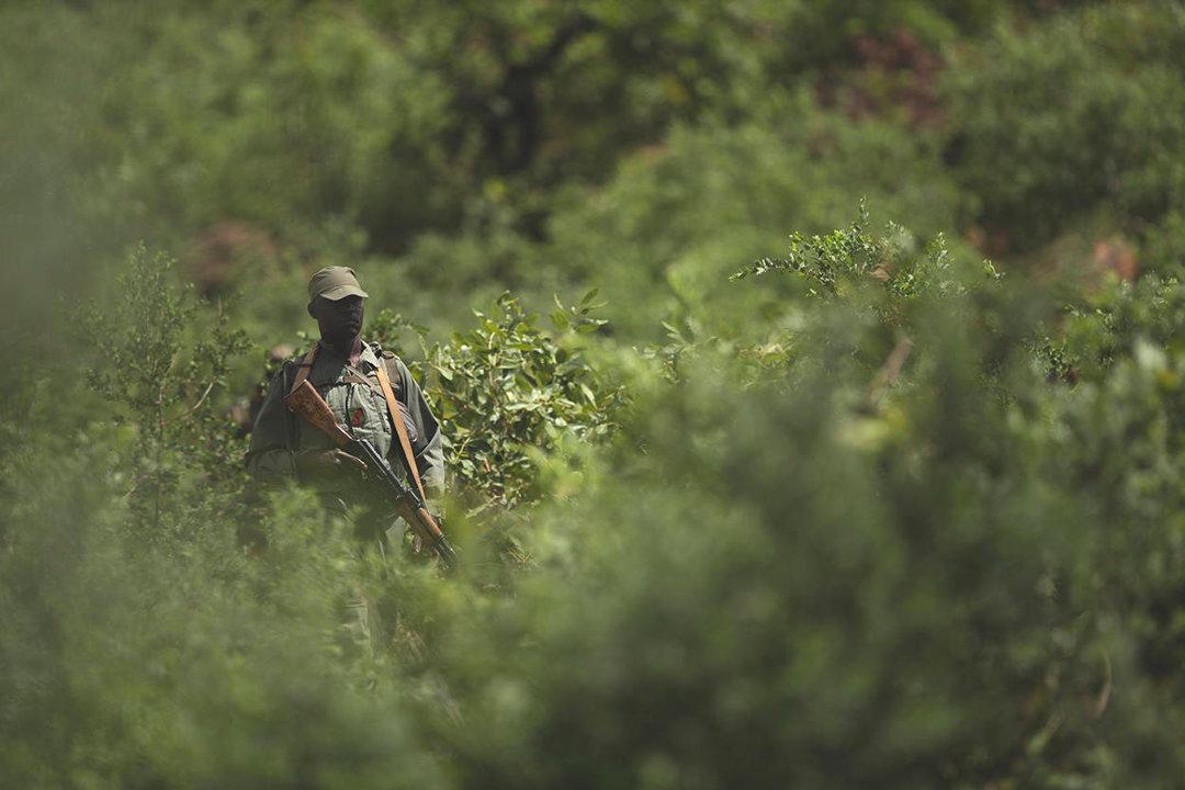 Koulikoro: West Africa’s Hidden Gem for Hunters – Exploring Savannahs, Riverine Riches, and Cultural Traditions in Mali’s Premier Hunting Region
