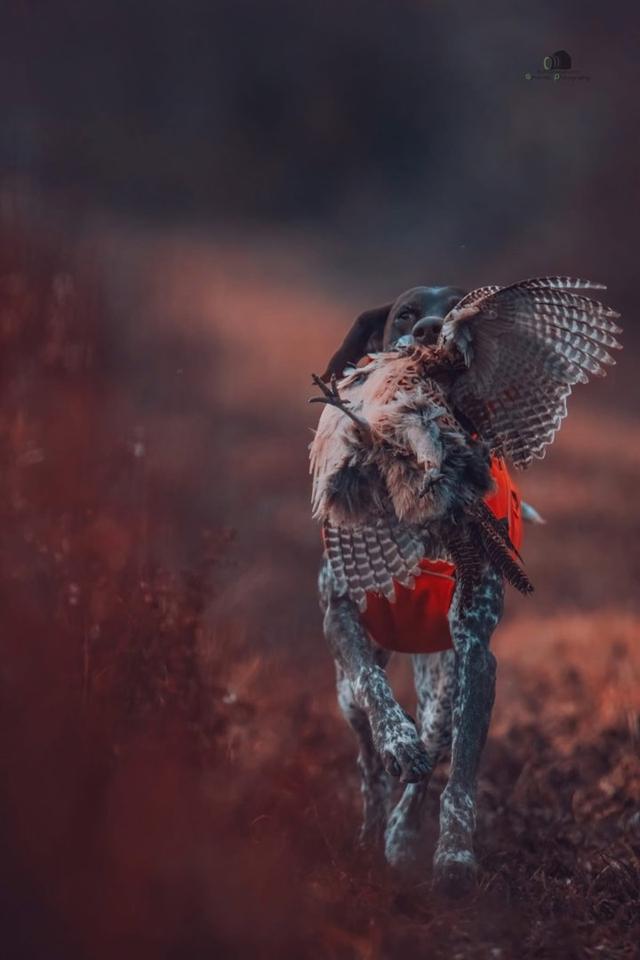 Photo from news post