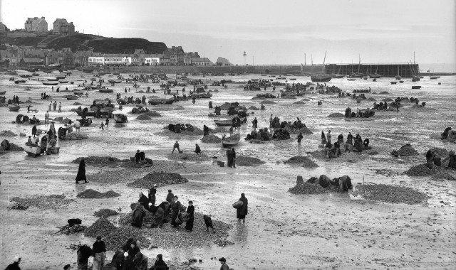 Oyster hunting and sorting in 19th-century France was an essential maritime and culinary practice that reflected both the country’s deep gastronomic traditions and the evolving dynamics of coastal economies.