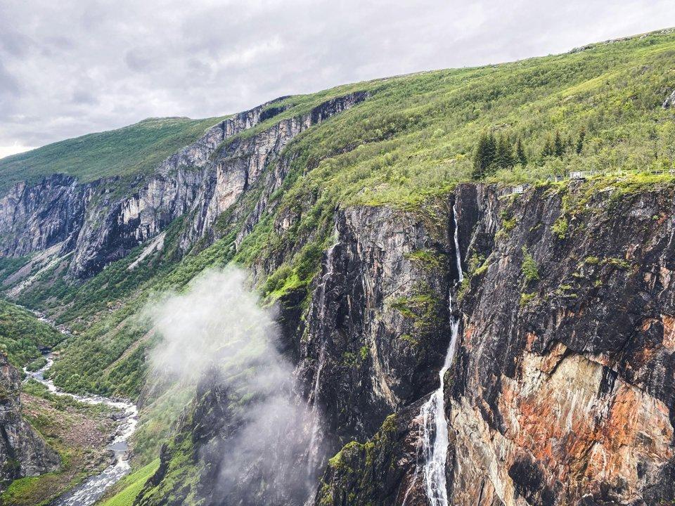 Hardangervidda Plateau Ptarmigan Hunting: A Unique Arctic Adventure.