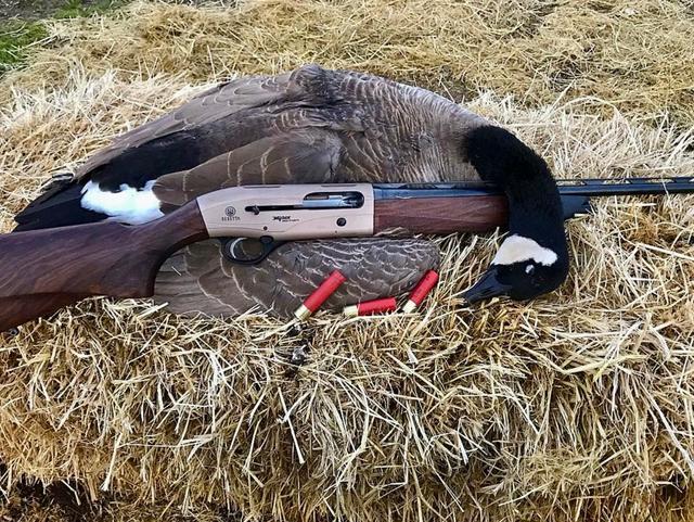 Beretta A400 Xplor: Универсальный Полуавтомат для Охоты и Спорта