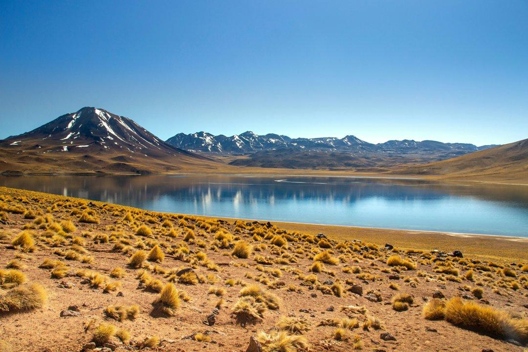 La Araucanía es el corazón de la caza en el sur de Chile: características de la caza, temporadas y legislación 