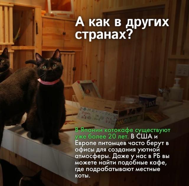 Photo from news post