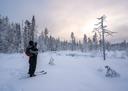Exploring Kainuu Hunting: Characteristics, Clubs, Legislation, and Interesting Facts for Hunters

Kainuu, a sparsely populated region in northeastern Finland, offers hunt