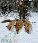 ❄️🔭Noćni lov je dobar, ali ne zaboravimo na dnevni lov

Sergeju Gribovu se može čestitati na izvrsnom rezultatu u lovu na lisice u zemljama Bjelorusije🇧🇾