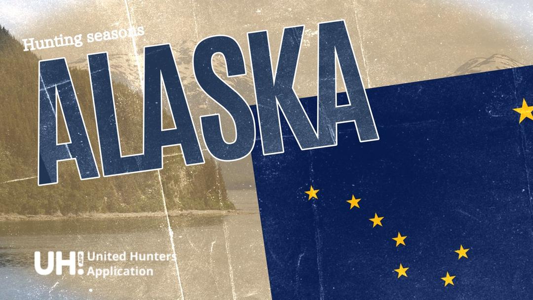 Hunting Seasons in Alaska 2025: Big and Small Game, Licenses, and Regulations Guide
