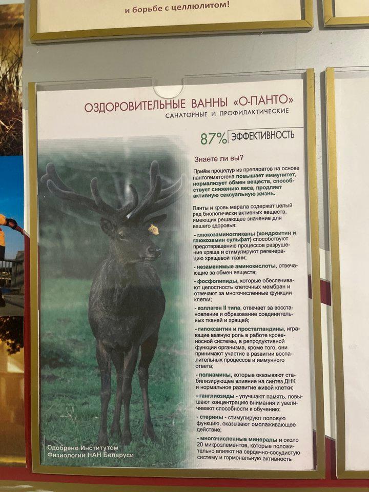 Photo from news post