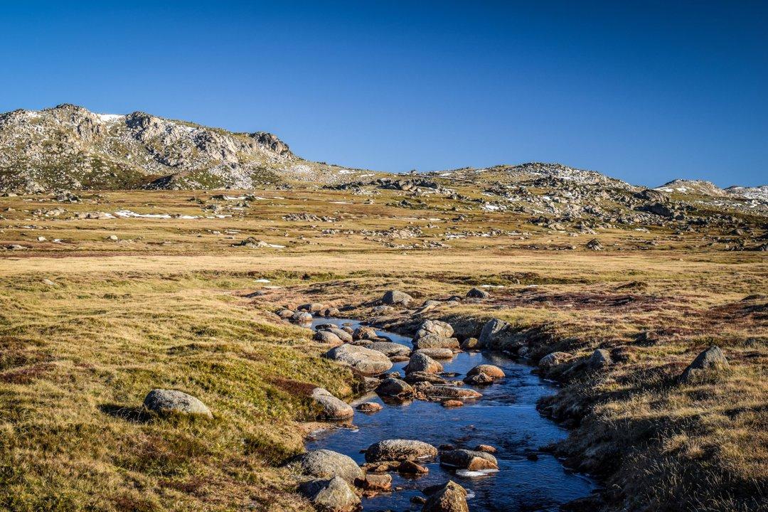 Kosciuszko National Park Permits: Navigating Hunting Legislation in Pristine Wilderness, Demographics, Associations and Clubs, Laws and Hunting Seasons 