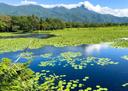 山口県での狩猟ガイド：海岸線と山々が育む野生動物の魅力

山口県は、日本海と瀬戸内海に面した風光明媚な地域で、豊かな自然と多様な野生動物が生息する狩猟の名所です。特に、海岸線沿いの地域と山間部は、狩猟愛好家にとって理想的な環境を提供しています。この記事では、山口県での狩猟の魅力、地理的特徴、狩猟可能な動物、そして地域に根付く狩猟の伝統について詳しく解説します。
山口県の地理的・自然的特徴
山口県は、日本海と瀬戸内海に挟まれた地形が特徴的で、海岸線沿いには豊かな漁場が広がり、内陸部には中国山地の一部が広がっています。特に、山間部には深い森林と豊かな自然が残されており、多くの野生動物が生息しています。また、海岸線沿いの地域には湿地帯や草原が広がり、カモやキジなどの鳥類も多く見られます。これらの地域は、狩猟愛好家にとって理想的な環境を提供しています。
海岸線と山間部での狩猟
山口県の海岸線沿いの地域は、その独特の地形から、狩猟の場としても注目されています。特に、日本海側の海岸線には、カモやガンなどの渡り鳥が冬場に飛来するため、狩猟の対象となります。また、海岸線に隣接する山間部では、イノシシやシカが多く見られ、これらの動物を追う狩猟も盛んです。
山間部での狩猟は、自然との一体感を味わえることが最大の魅力です。深い森林と起伏に富んだ地形は、野生動物にとって理想的な生息地となっています。しかし、地形が険しいため、装備や体力の準備が欠かせません。また、天候の変化が激しいため、十分な準備と注意が必要です。
山口県で狩猟可能な動物とそのシーズン
山口県では、以下のような動物が狩猟の対象となっています。
イノシシ：年間を通じて狩猟が可能ですが、特に秋から冬にかけてが最盛期です。山間部の森林地帯で多く見られます。
シカ：同様に年間を通じて狩猟が可能で、秋から冬にかけてがピークです。中国山地の一部である山口県の山間部で多く生息しています。
カモ：冬場に渡り鳥として飛来するため、11月から2月頃が狩猟シーズンです。海岸線沿いの湿地帯で見られます。
キジ：春から秋にかけてが主な狩猟シーズンです。森林地帯や草原で見られます。
これらの動物は、山口県の自然環境に適応しており、狩猟愛好家にとっては格好のターゲットとなっています。
山口県の狩猟の伝統
山口県は、古くから狩猟が盛んな地域として知られています。特に、山間部の地域では、狩猟が生活の一部として根付いてきました。伝統的な猟法として、罠猟や犬を使った狩猟が今も受け継がれています。また、地域によっては、狩猟で得た獲物を料理に活用する文化も残っています。例えば、イノシシの肉を使った「ぼたん鍋」は、山口県の冬の風物詩として親しまれています。
また、山口県では、狩猟を通じて自然環境の保護や野生動物の管理にも力を入れています。特に、イノシシやシカによる農作物への被害が問題となっている地域では、狩猟が害獣駆除の一環として重要な役割を果たしています。
