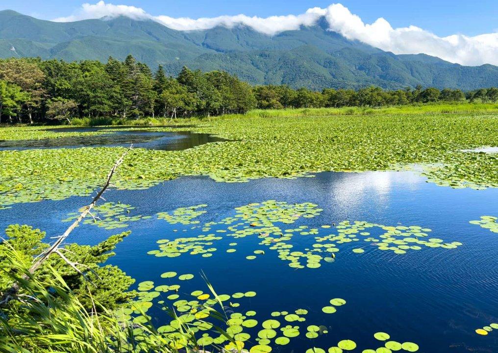 山口県での狩猟ガイド：海岸線と山々が育む野生動物の魅力
