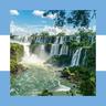 Argentina: todo sobre caza y pesca, noticias, foro. avatar