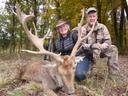 Die Jagd im Bezirk Korneuburg: Lebensraum, Wildbestände, Jägerschaft, Jagdsaison, Jagdmethoden,  Rahmenbedingungen, Gemeinschaften, Aspekte, Details 

Lebensraum in Korneuburg

Der Bezirk Korneuburg, gelegen im nordwestlichen Niederösterreich, bietet eine einzigartige Mischung aus städtischen Einflüssen und ländlicher Natur. Die Region erstreckt sich entlang der Donau und umfasst sowohl flache Auenlandschaften als auch bewaldete Hügel des Wienerwaldes. Mit einem Waldanteil von etwa 30 % und zahlreichen Feuchtgebieten schafft sie ideale Lebensräume für verschiedene Wildarten.

Wildbestände und jagdbare Arten  

Das Rehwild dominiert als Hauptwildart in den Wäldern des Wienerwaldes und den landwirtschaftlich geprägten Gebieten. Schwarzwild ist in den letzten Jahren zunehmend präsent, insbesondere in den Auengebieten der Donau. Feldhasen und Füchse sind weit verbreitet, während Wasservögel wie Stockenten, Graugänse und Blässhühner die Feuchtgebiete bevölkern. Gelegentlich lassen sich auch Damwild und Rotwild in begrenzten Gebieten bejagen.

Aktive Jägerschaft  

Im Bezirk sind rund 450 aktive Jäger registriert (Stand 2024), wobei die meisten aus der lokalen Bevölkerung stammen. Etwa 12 % der Jäger kommen aus dem benachbarten Ausland, vor allem aus der Slowakei und Ungarn. Besonders hervorzuheben ist die starke Präsenz von Wasserjägern, die die Donau-Auen als ideales Jagdrevier nutzen.

Jagdsaison und zeitliche Regelungen in Korneuburg

Die Jagdzeiten sind klar geregelt: Rehwild kann vom 1. Mai bis 31. Dezember bejagt werden. Für Schwarzwild gilt ganzjährige Jagdmöglichkeit, wobei Bachenschutzphasen zu beachten sind. Feldhase steht vom 1. November bis 31. Dezember auf dem Plan, Wasserwild von 1. September bis 31. Januar. Diese Regelungen gewährleisten eine nachhaltige Bewirtschaftung der Bestände.

Jagdmethoden und Praxis  

Die Ansitzjagd ist die am häufigsten angewandte Methode, insbesondere in den bewaldeten Gebieten des Wienerwaldes. Drückjagden werden hauptsächlich für Schwarzwild organisiert, während Pirschjagden im Herbst besonders effektiv sind. Lockjagden auf Wasservögel sowie die Jagd in den Donau-Auen runden das Spektrum ab. Eine Besonderheit stellt die Jagd in den urbanen Randgebieten dar, die höchste Ansprüche an Präzision und Sicherheit stellt.


Rechtliche Rahmenbedingungen  

Gemäß dem Niederösterreichischen Jagdgesetz benötigen Jäger einen gültigen Jagdschein. Bleifreie Munition ist in Gewässernähe verpflichtend, und für Rehwild gilt ein Mindestkaliber von .222. Abschusspläne werden jährlich aktualisiert und durch die Bezirksjägerschaft koordiniert. Das Jagdrecht liegt größtenteils in privater Hand, was eine gute Zusammenarbeit mit den Grundbesitzern erfordert.

Organisationen und Gemeinschaften  

Der Bezirk wird von der Niederösterreichischen Landesjägerschaft und mehreren lokalen Vereinen betreut, darunter der Jagdverein Korneuburg und die Donau-Auen-Jägerschaft. Eine wichtige Rolle spielt auch die lokale Wildforschungsgruppe, die sich mit der Entwicklung der Wildtierpopulationen beschäftigt.

Traditionelle Aspekte in Korneuburg

Besonders erwähnenswert sind die traditionellen Hubertusmessen in Klosterneuburg und die jährlichen Jägerfeste entlang der Donau. Die regionale Wildbretvermarktung ist stark ausgeprägt, wobei Wildspezialitäten oft mit lokalem Wein kombiniert werden. Die Donau-Auen-Jagdhornbläser tragen zur Bewahrung der traditionellen Jagdmusik bei.

Interessante Details  

Historisch war das Gebiet Teil der Jagdreviere des Stiftes Klosterneuburg. Heute profitiert die Region stark vom grenznahen Jagdtourismus, vor allem aus der Slowakei und Ungarn. Eine Besonderheit stellt das internationale Wildtier-Monitoring-Programm dar, das wichtige Daten für den Naturschutz liefert. Die Nähe zur Donau führt zu regelmäßigen Wildwechseln zwischen Österreich und der Slowakei.

Die Kombination aus natürlicher Vielfalt, traditioneller Jagdkultur und modernen Methoden macht den Bezirk Korneuburg zu einem attraktiven Ziel für Jäger. Die Nähe zu Wien und die gute Verkehrsanbindung erleichtern zudem den Zugang zu den verschiedenen Revieren. Die Region bietet ideale Voraussetzungen für ein unvergessliches Jagderlebnis.
