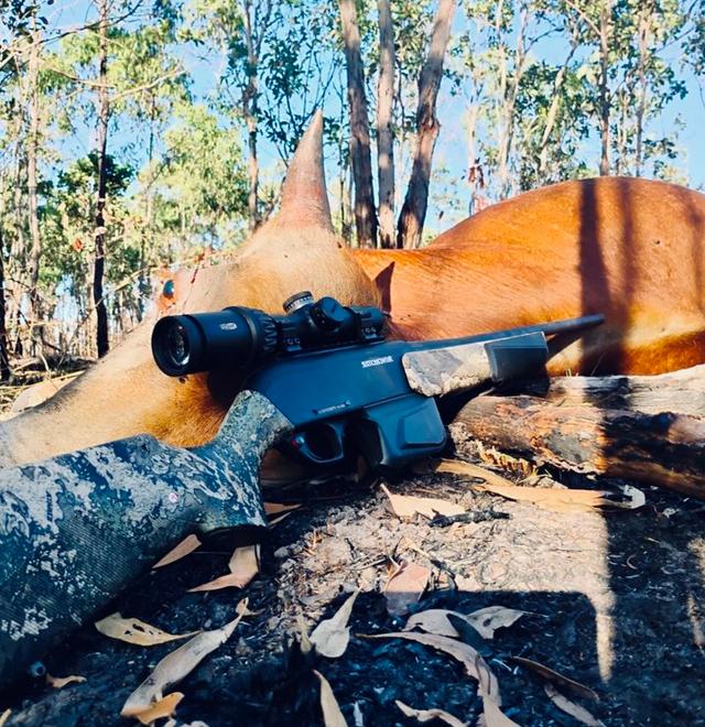 Winchester SXR2 Pump Action Rifle: Review, Variants, Calibers, <strong>Price</strong>.