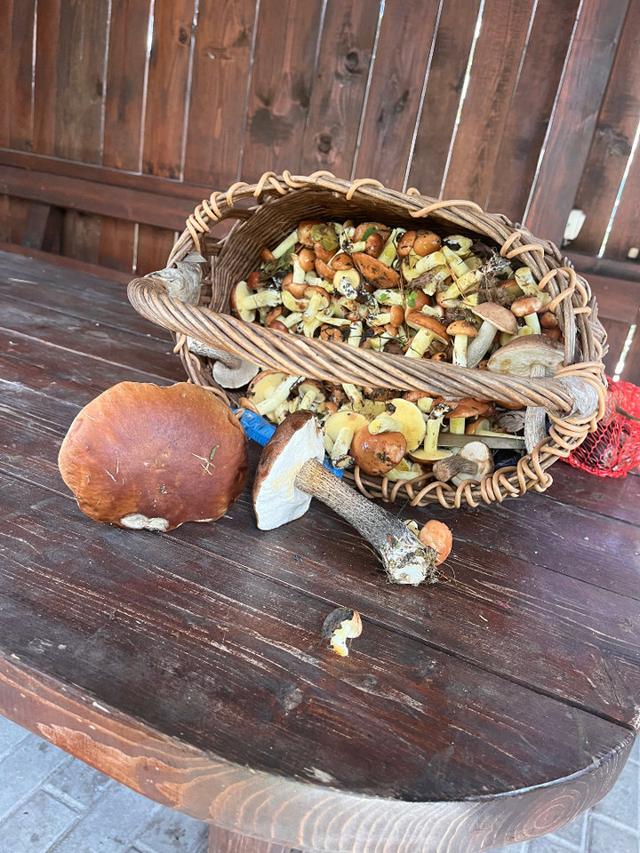 Photo from news post