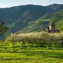 Վիտալի Նազարուկ