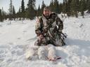 Small Game Alaska

As we pushed our way through the waist deep snow the big snowshoe hare just sat there and waited. His “white” camouflage blended perfectly with the sno