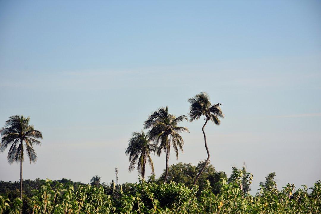 Hunting Adventures in Kédougou, Senegal: Wildlife, Species, Laws and Commnities, Hunting Legislation