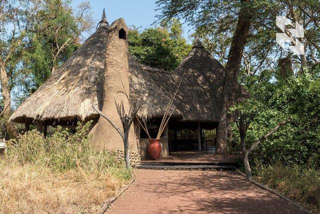 For true collectors 🌍 of African rarities: gerenuk, lesser kudu, Grant's gazelle, Thompson's gazelle, Patterson's eland and others ⤵️