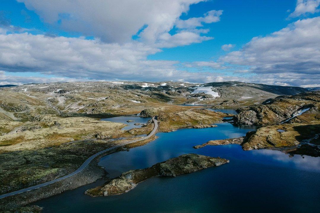Dovrefjell National Park Muskox Hunting: A Unique Arctic Experience.
