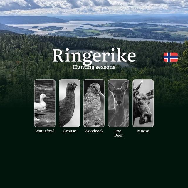 Hunting Dates in Ringerike: Seasonality of Hunting, Timing and Regulations, Hunting Permits, Restrictions and Prohibitions
