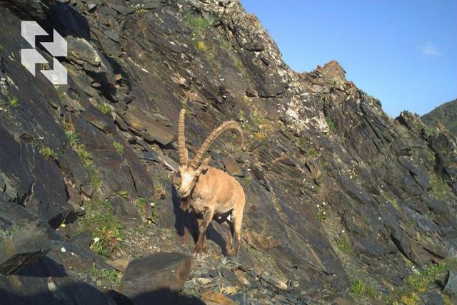 Prepare your sleigh in summer = book autumn trips in spring!
