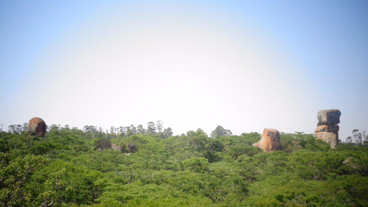 Hunting in Marondera, Zimbabwe: Discovering Types of Hunting and Animals Hunted in the Region