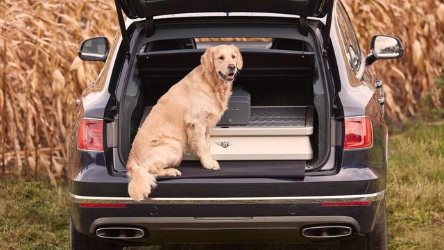 Bentley Bentayga Field Sports Edition Allows You To Hunt In Style