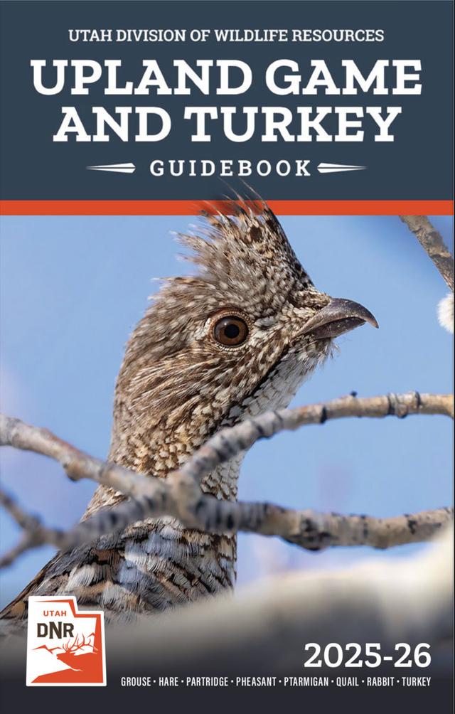 HUNTING SEASONS IN UTAH 2025–26: Deer Hunting, Big Game and Small Game, Licenses, and Regulations Guide