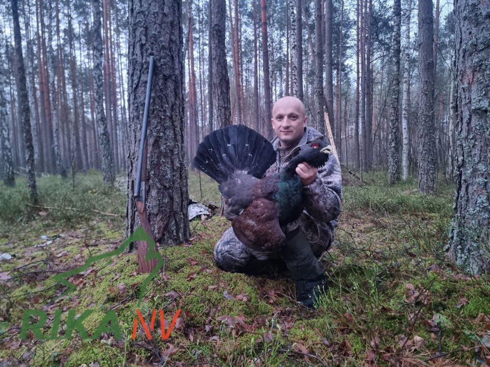 📯🇧🇾Lov na vukove i velike životinje je naravno dobar, ali ne zaboravite na klasike!