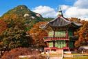 홍천 사냥 협회 
홍천 지역의 사냥: 자연의 숨결과 전통의 조화
홍천군은 강원도 서북부에 위치한 지역으로, 치악산과 월악산의 험준한 산세와 홍천강의 맑은 물줄기가 특징입니다. 이 지역은 사냥꾼들에게 이상적인 환경을 제공하며, 자연과 전통이 조화를 이루는 독특한 사냥 문화를 자랑합니다. 이 글에서는 홍천군