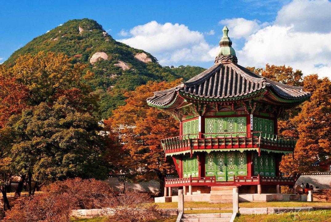 홍천 사냥 협회 
