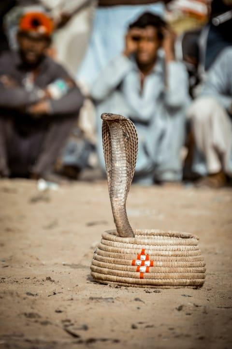 Photo from news post