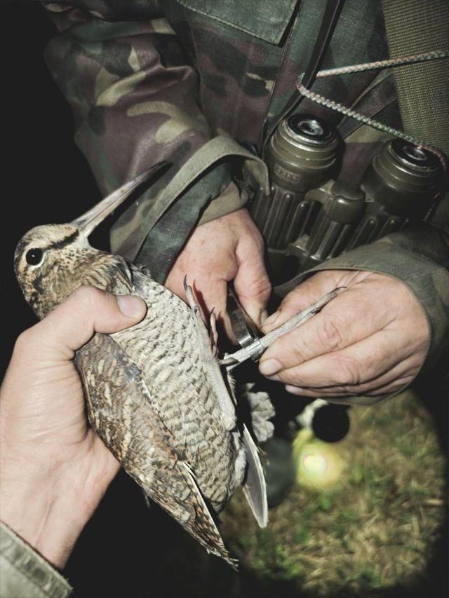 Photo from news post
