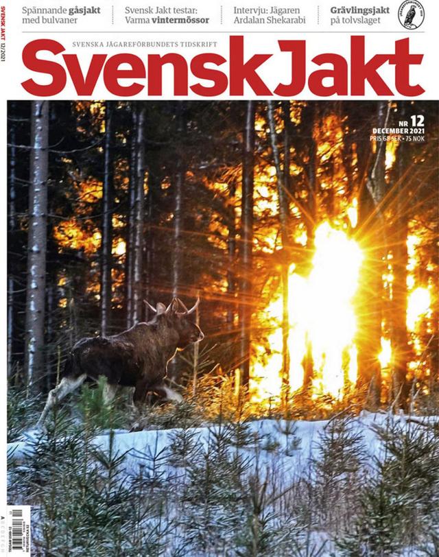 Photo from news post