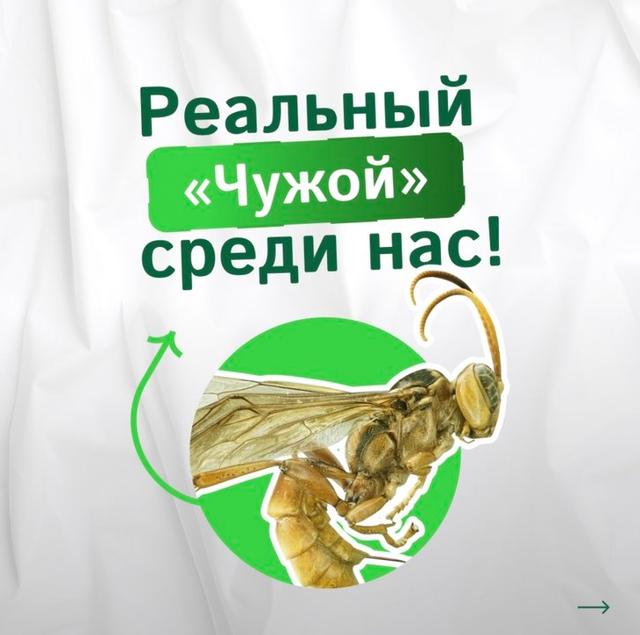 Photo from news post