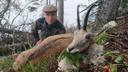 Jagd im Gebiet Baden: Rechtliche Grundlagen, Naturräume, Tierbestand, Jagdtermine, Eigenheiten, Jägerschaft, Jagdverbände, Bräuche, interessante Details

Rechtliche Grund