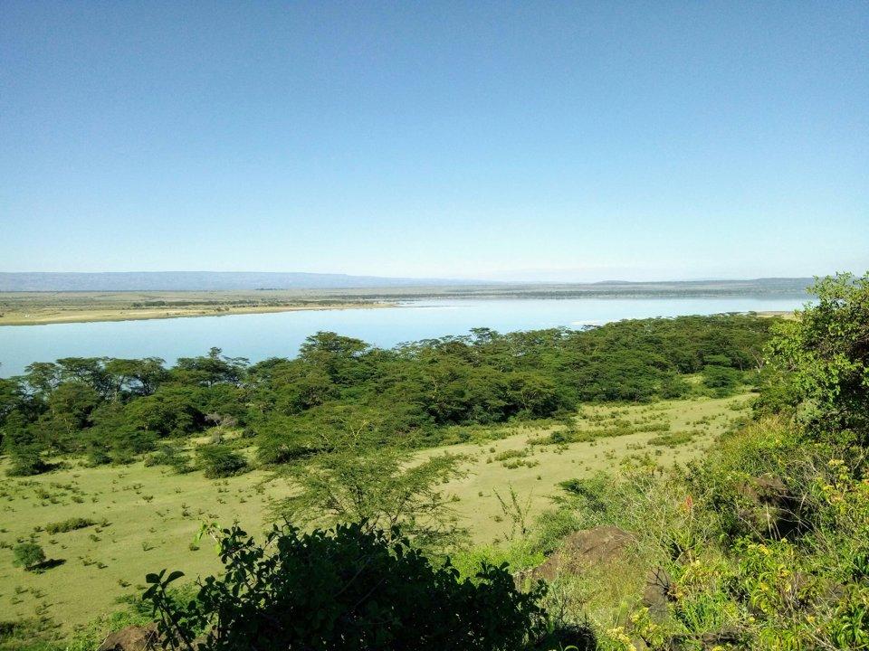 Hunting in CABO DELDAGO: A Complete Guide to Wildlife, Traditions, Regulations, and Unique Experiences in Mozambique’s Untamed Wilderness