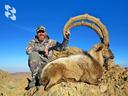 We are starting to accept applications for booking tours to Iran
1️⃣ Kerman ram
2️⃣ Isfahan mouflon
3️⃣ Persian desert goat

📆 October or December. Or already January-Ma