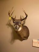 4 years today my wife sent me to a school. Said “you’re done welding”. 

Here’s my first 2 to mount, and the last couple. Times flown, and I learn something everyday. 

