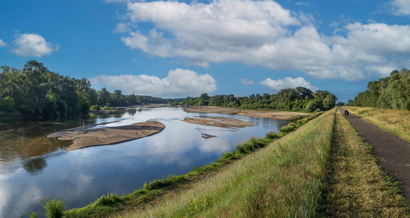 Chasse dans la LOIRE: Géographie diversifiée, faune locale, traditions cynégétiques et clubs de chasse