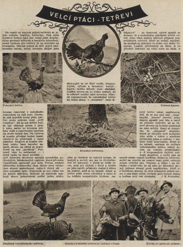 Photo from news post