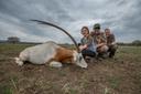 Explore the challenges and ethics of desert gazelle hunting in the Dakhla region, Morocco. Understand the unique environment and responsible pursuit of this elusive game.