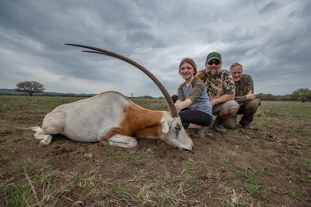 Explore the challenges and ethics of desert gazelle hunting in the Dakhla region, Morocco.