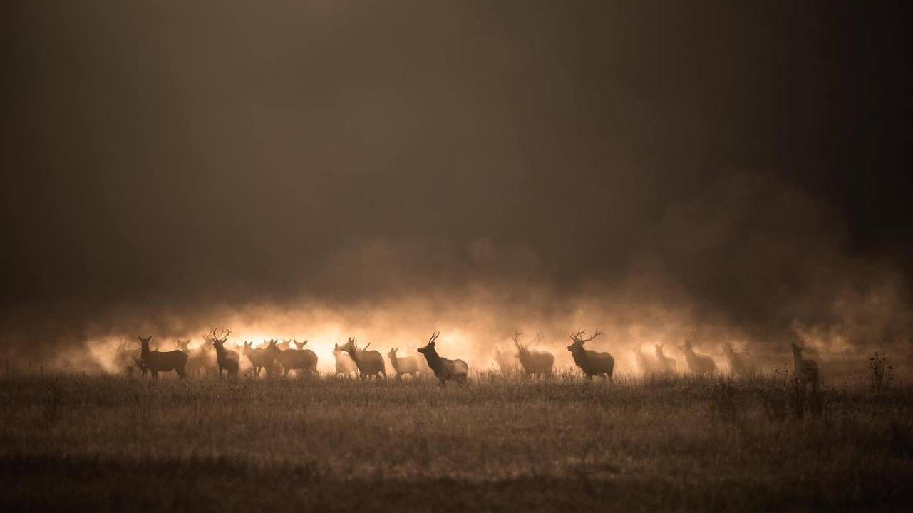 Photo from news post